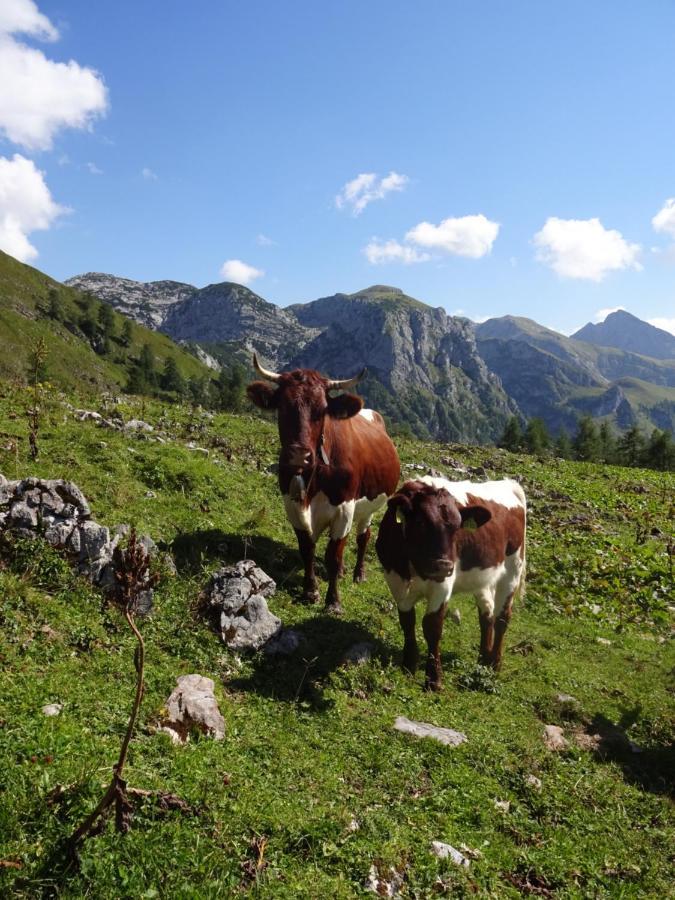 Malterlehen-Berchtesgaden Apartman Kültér fotó