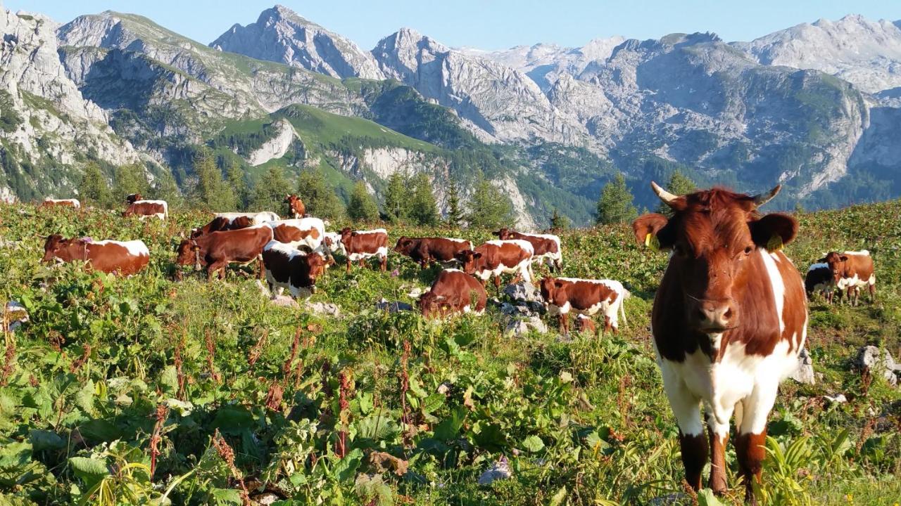 Malterlehen-Berchtesgaden Apartman Kültér fotó